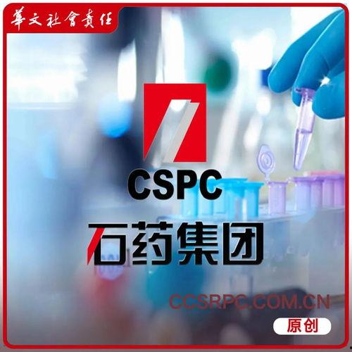 石药集团爆料新闻报道视频,揭秘研发突破与市场动态  第2张